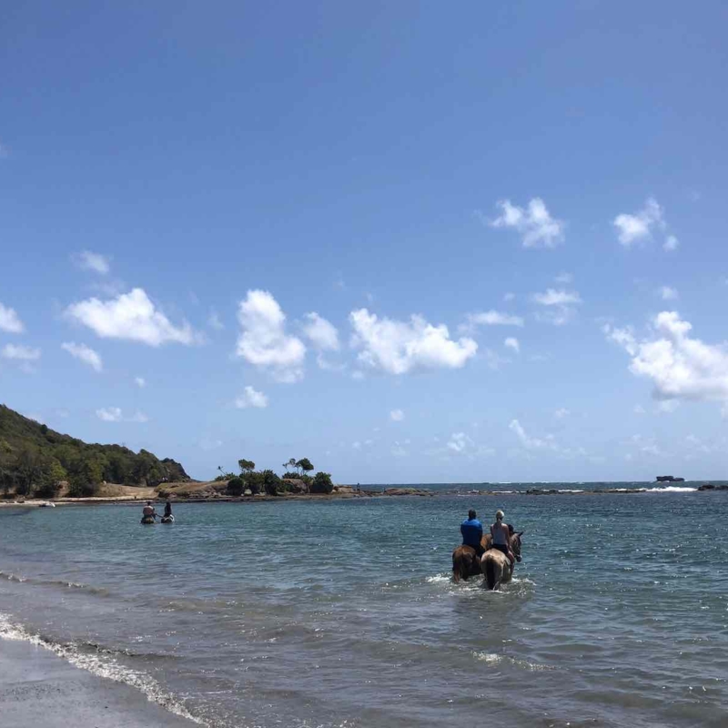 Island-Beach-horseback-riding1800