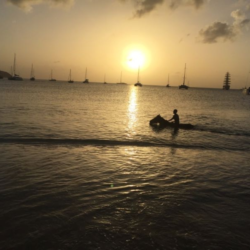 Ride horse in Caribbean