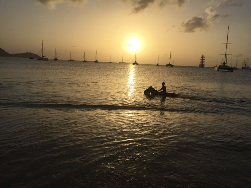 Ride horse in Caribbean