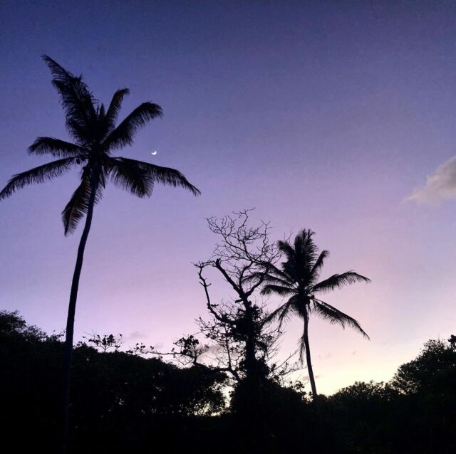 Moon at Kitebeach right after sweet sundowner session. 🤙 Steady winds and calm warm waters at Cas En Bas beach, St. Lucia. 10 minutes drive from guesthouse. Perfect ending of a day in paradise! #kitesurfersparadise #kitesurfingdestinations #kiting #kitesurfing #kitebeach #kiteboarding #stlucia #paradise #caribbean #island #ocean #islandlife #livingthedream #vacation #travel #beach #tropical #holiday #summer #tropics #travelphotography #oceanview #wanderlust #traveldestination #traveling #travelblogger #westindies #beautiful #picoftheday #photooftheday